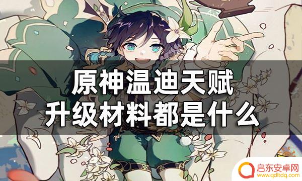 原神温迪天赋材料数量 原神温迪天赋升级材料详解