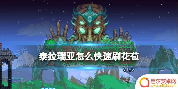 泰拉瑞亚丛花攻略 泰拉瑞亚花苞刷怎么做