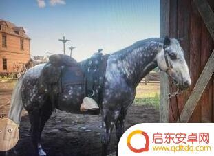 荒野大镖客前期得好马 荒野大镖客2前期应该用什么马