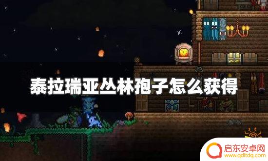 泰拉瑞亚的丛林孢子 泰拉瑞亚丛林孢子获得方法