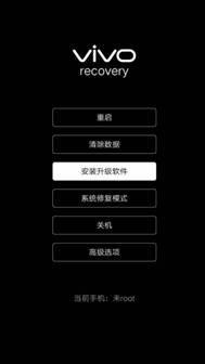 vivo手机出厂设置怎么设置 vivo手机强制恢复出厂设置步骤