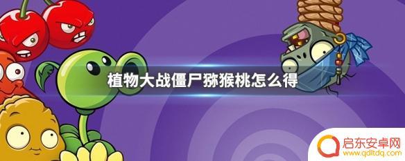 植物大战僵尸如何获得猕猴桃碎片 怎样才能获得植物大战僵尸中的猕猴桃