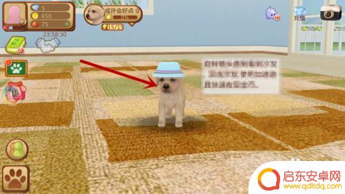 心动小狗怎么玩 心动小狗如何让小狗站立