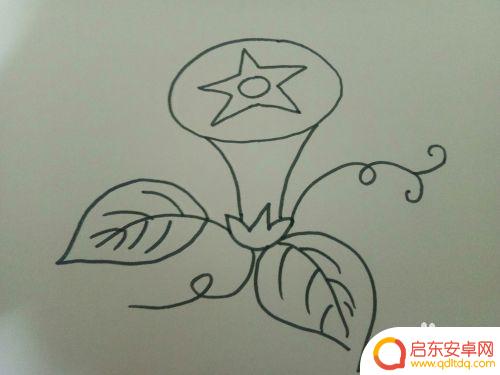 如何在手机上画一朵花 怎样画一朵花的教程