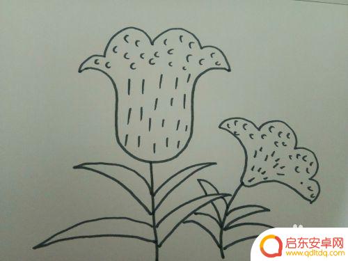 如何在手机上画一朵花 怎样画一朵花的教程