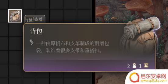 博德之门3如何整理背包 背包物品整理攻略