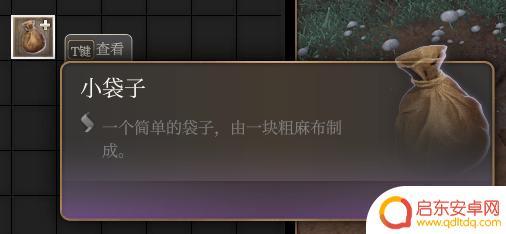 博德之门3如何整理背包 背包物品整理攻略