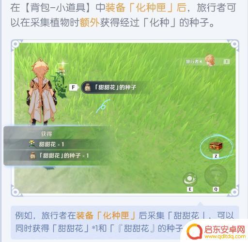 原神家园系统怎么种东西 原神种花攻略详解