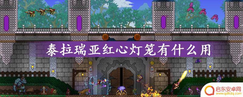 泰拉瑞亚灯笼怎么获得 泰拉瑞亚魔法灯笼获取攻略
