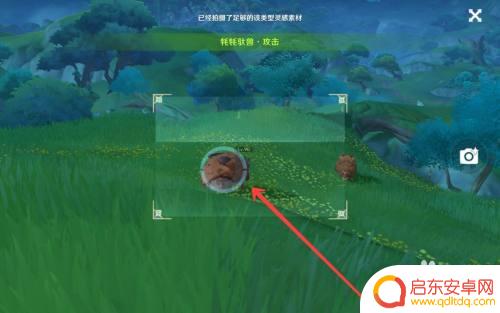 原神攻击状态怎么拍 原神牦牦驮兽攻击状态拍摄技巧