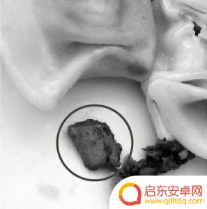 抖音烟灰弄饺子里(烟灰怎么抖)
