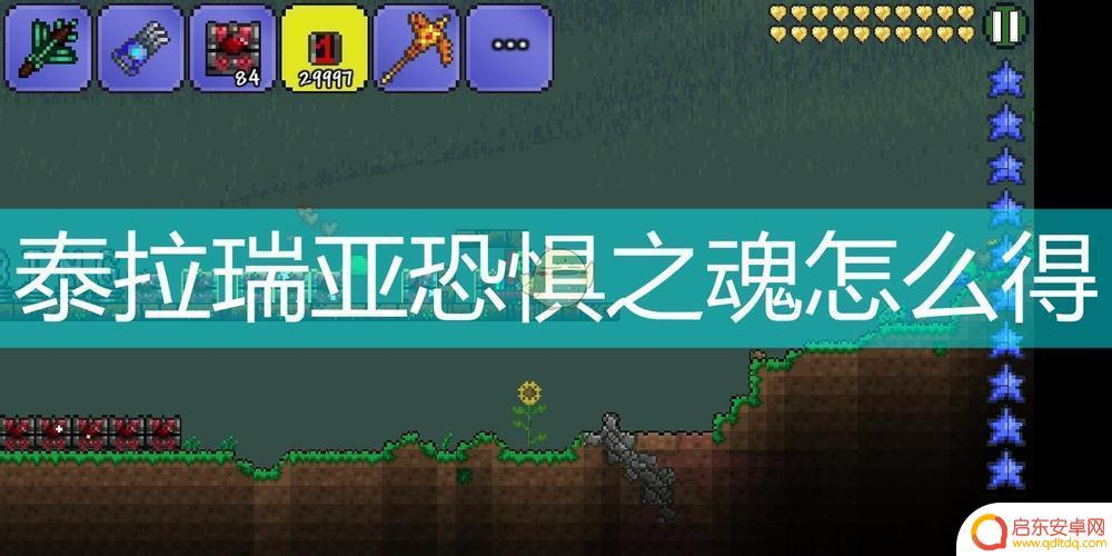 泰拉瑞亚魂怎么得 《泰拉瑞亚》飞翔之魂如何获得