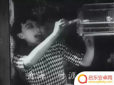 抖音电影天涯歌女(抖音电影)