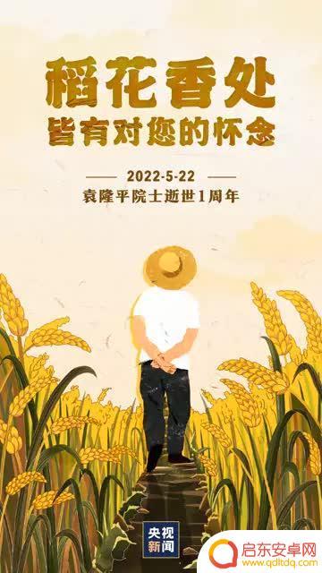 稻香抖音致敬袁隆平(稻香抖音致敬袁隆平是真的吗)