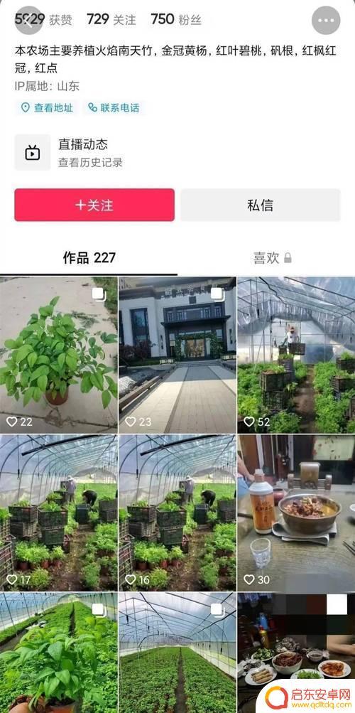 抖音怎么上传苗木(抖音怎么上传苗木视频)