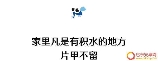 龙岗大浪小区抖音(深圳龙岗大浪小区)