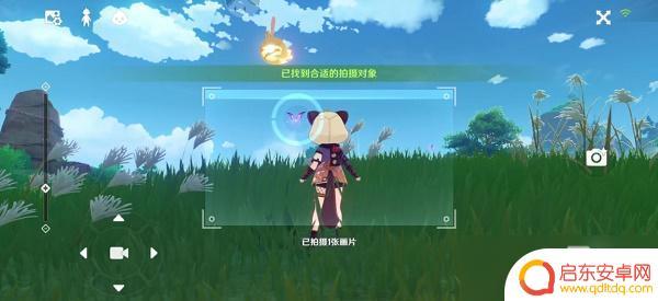 原神活动拍照小动物 原神稻妻特色动物拍照任务要求