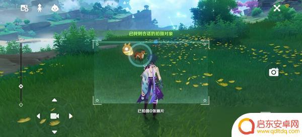 原神活动拍照小动物 原神稻妻特色动物拍照任务要求