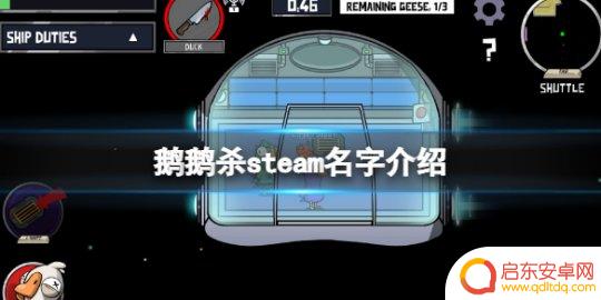 鸭鹅杀在steam里叫什么名字 《鹅鸭杀》steam中文名字是什么