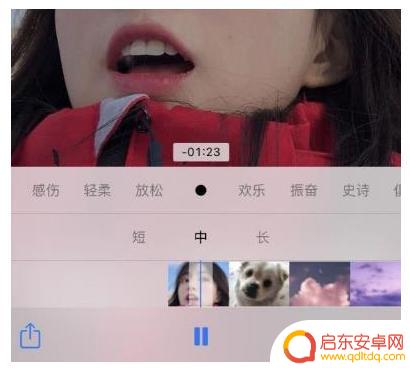 怎么把苹果手机的相册设置为壁纸 iOS14如何将照片添加到桌面
