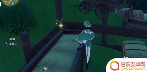 原神蒙德哪里有小麦 原神小麦在哪个区域