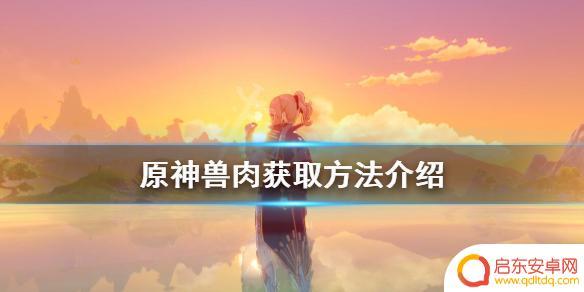 原神肉怎么弄 兽肉获取方法详解《原神》