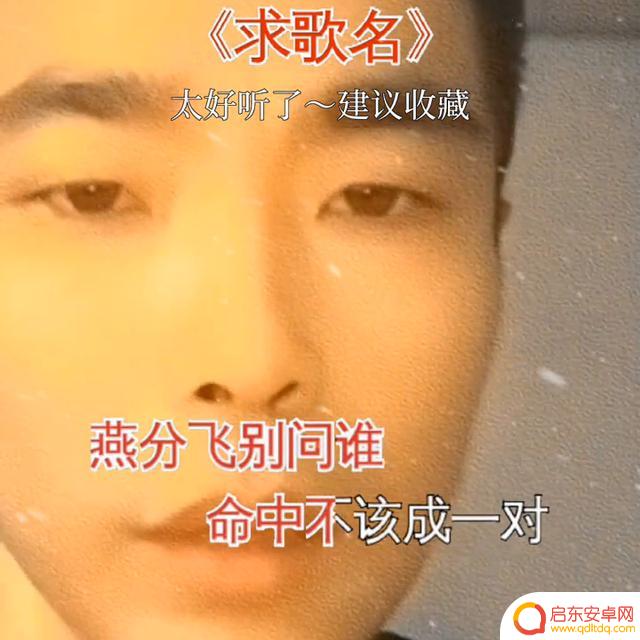 抖音女单身抖音号(抖音女单身抖音号大全)