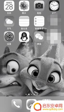 苹果手机显示黑白色怎么办? 苹果手机屏幕黑白怎么办