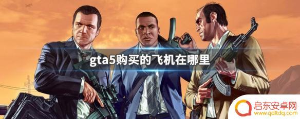 gta5买了飞机后去哪儿开 GTA5飞机购买地点在哪里