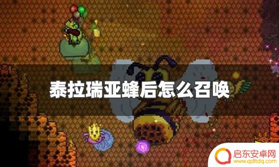 泰拉瑞亚怎么放蜜蜂 泰拉瑞亚蜂后召唤物怎么合成