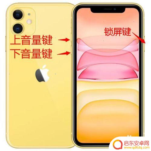 苹果11如何调节手机铃声 iphone11 铃声大小如何调节