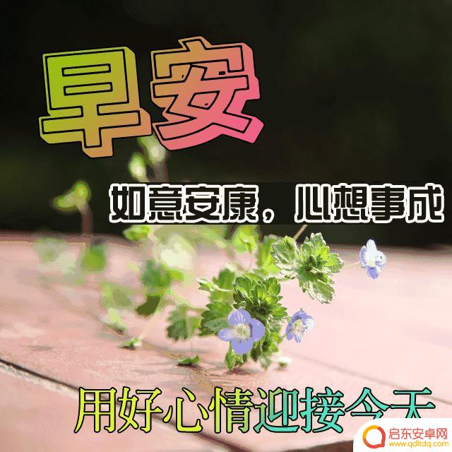 抖音特产早茶文案(抖音关于美食早餐的文案)