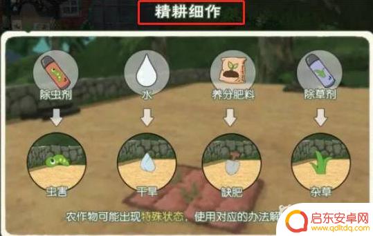 小森生活怎么触发精耕细作 小森生活精耕细作任务怎么开始