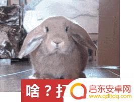 摄像编剧抖音日常(摄像编剧抖音日常怎么做)