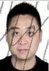 襄阳的 李华丽抖音(襄阳李华义)