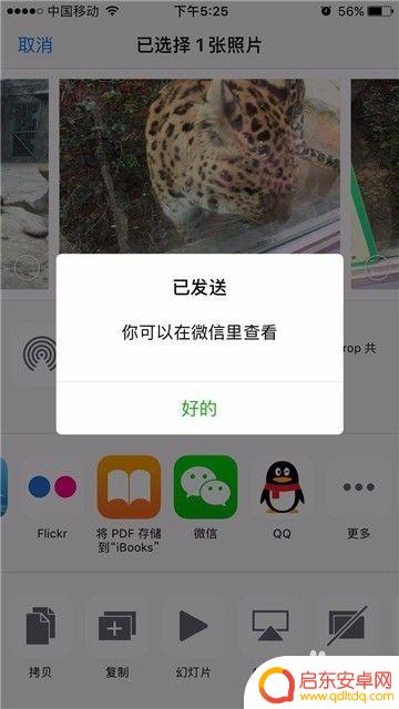 苹果手机如何发送微信图片 iPhone手机在相册中怎么直接分享照片到微信朋友圈