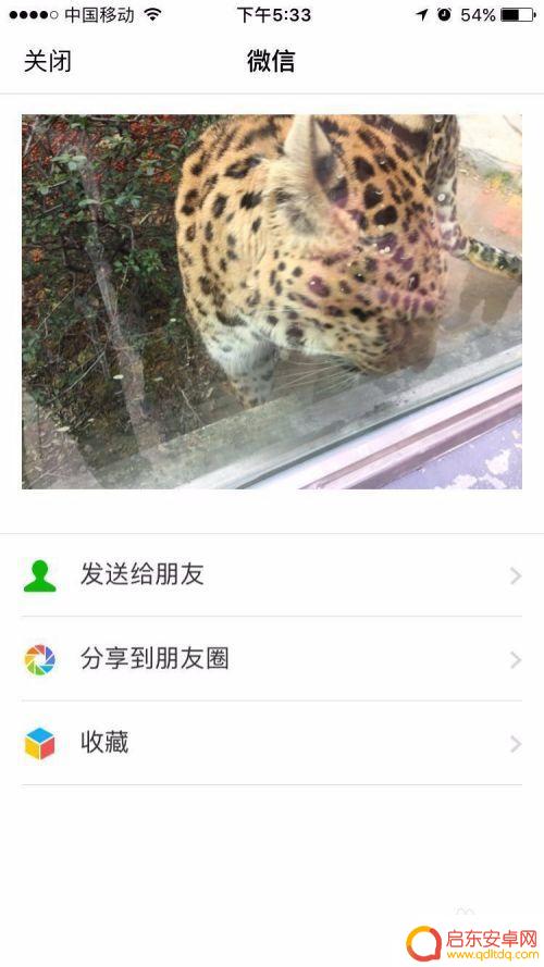 苹果手机如何发送微信图片 iPhone手机在相册中怎么直接分享照片到微信朋友圈