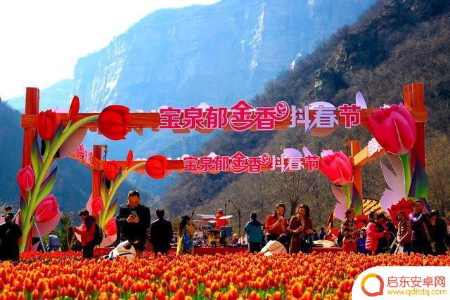 花海挑战辉县抖音(辉县花海在什么地方)