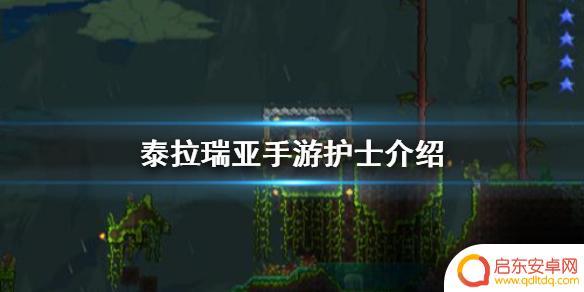 泰拉瑞亚怎么让护士进来 泰拉瑞亚手游护士入住条件详解