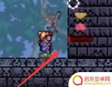 泰拉瑞亚仙灵怎么出现(泰拉瑞亚仙灵出现条件)