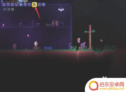 泰拉瑞亚松叶针 泰拉瑞亚松针产地