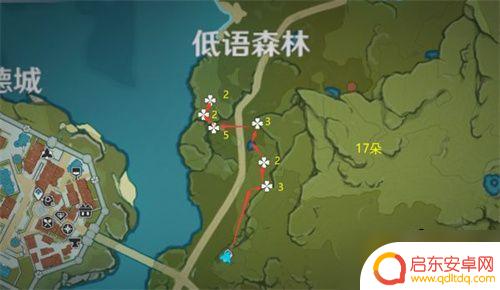 原神小灯草位置大全 原神小灯草在哪里可以采集到