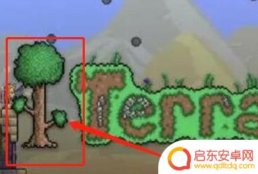 泰拉瑞亚里面的血肉之墙 泰拉瑞亚血肉之墙战术