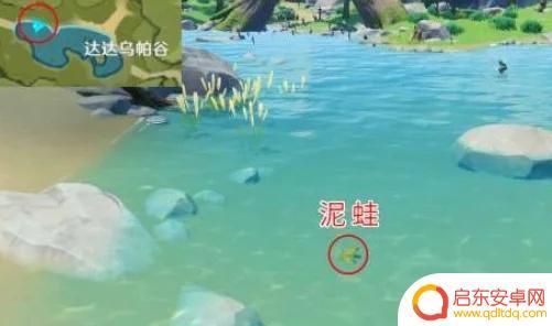 原神青蛙从哪买 原神青蛙在哪里买