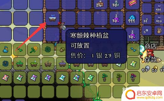 泰拉瑞亚怎么买花盆种植 泰拉瑞亚种植盆获得技巧