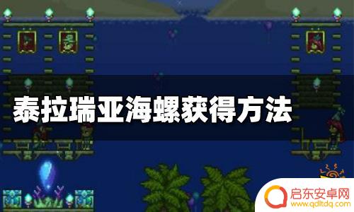 泰拉瑞亚神奇海螺编号是什么？