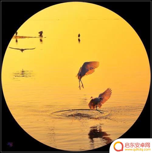 无名之岛歌曲抖音(无名之岛的歌曲)