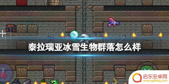 泰拉瑞亚3冰原环境 《泰拉瑞亚》冰雪环境探索攻略