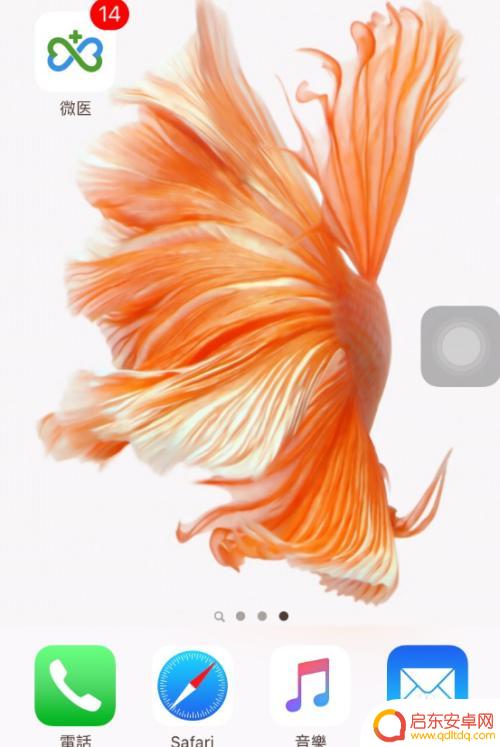 苹果手机的界面图片 IPhone手机如何设置主界面背景壁纸