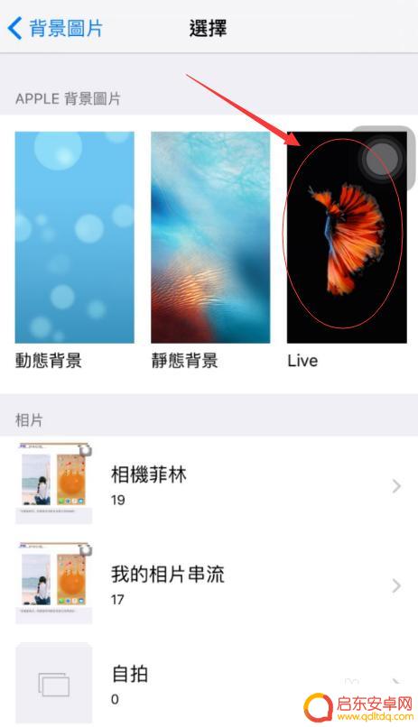 苹果手机的界面图片 IPhone手机如何设置主界面背景壁纸